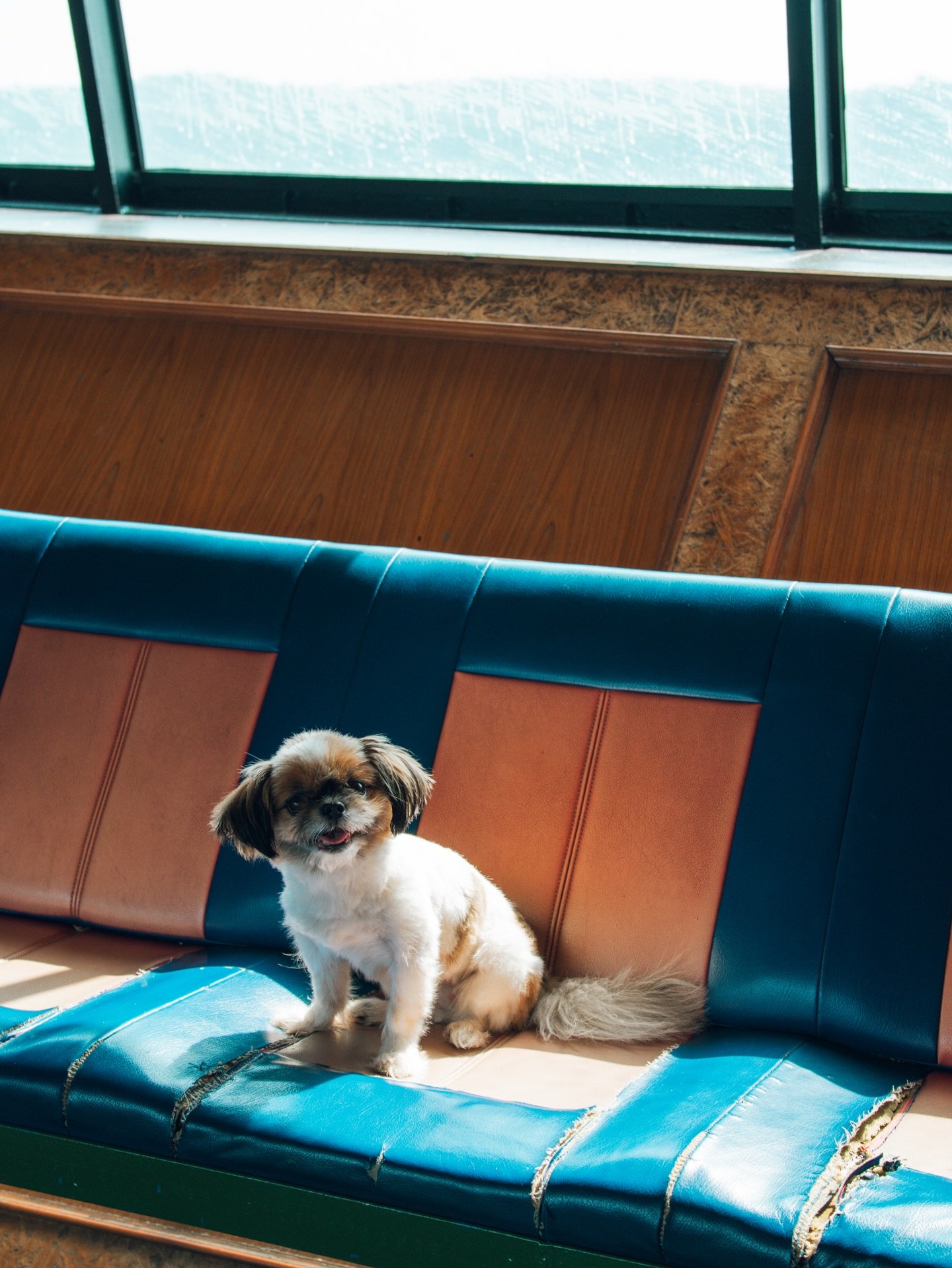684236910_18180670414390529_2250395137263479681_n.jpg