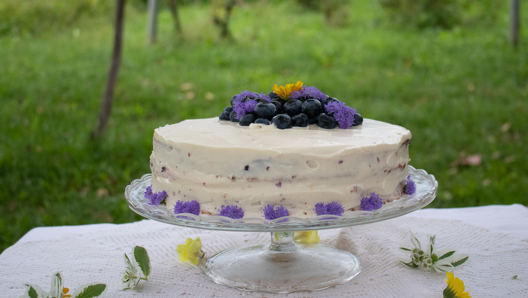 Gâteau au citron et aux myrtilles