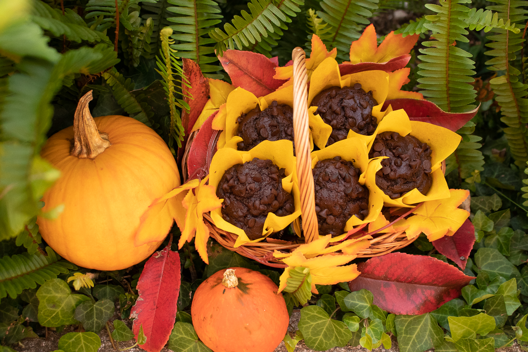 Tekvicovo čokoládové muffiny