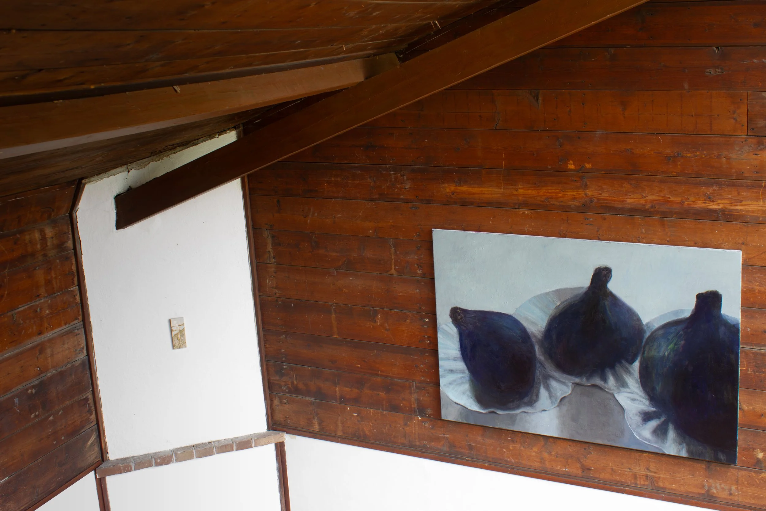 'Vijgen' during a group exhibition at Dooyewaard Stichting