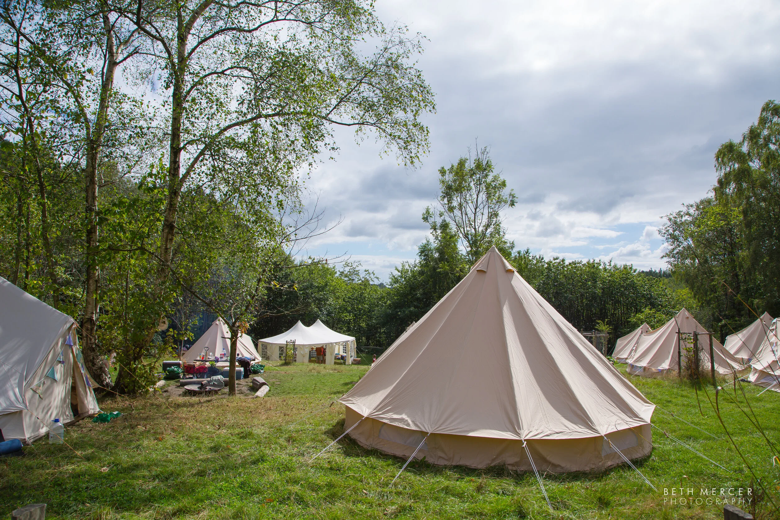 Lower Paddock — Wilderness Wood