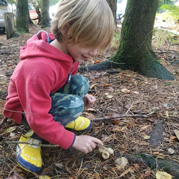 Family Fungus Hunt