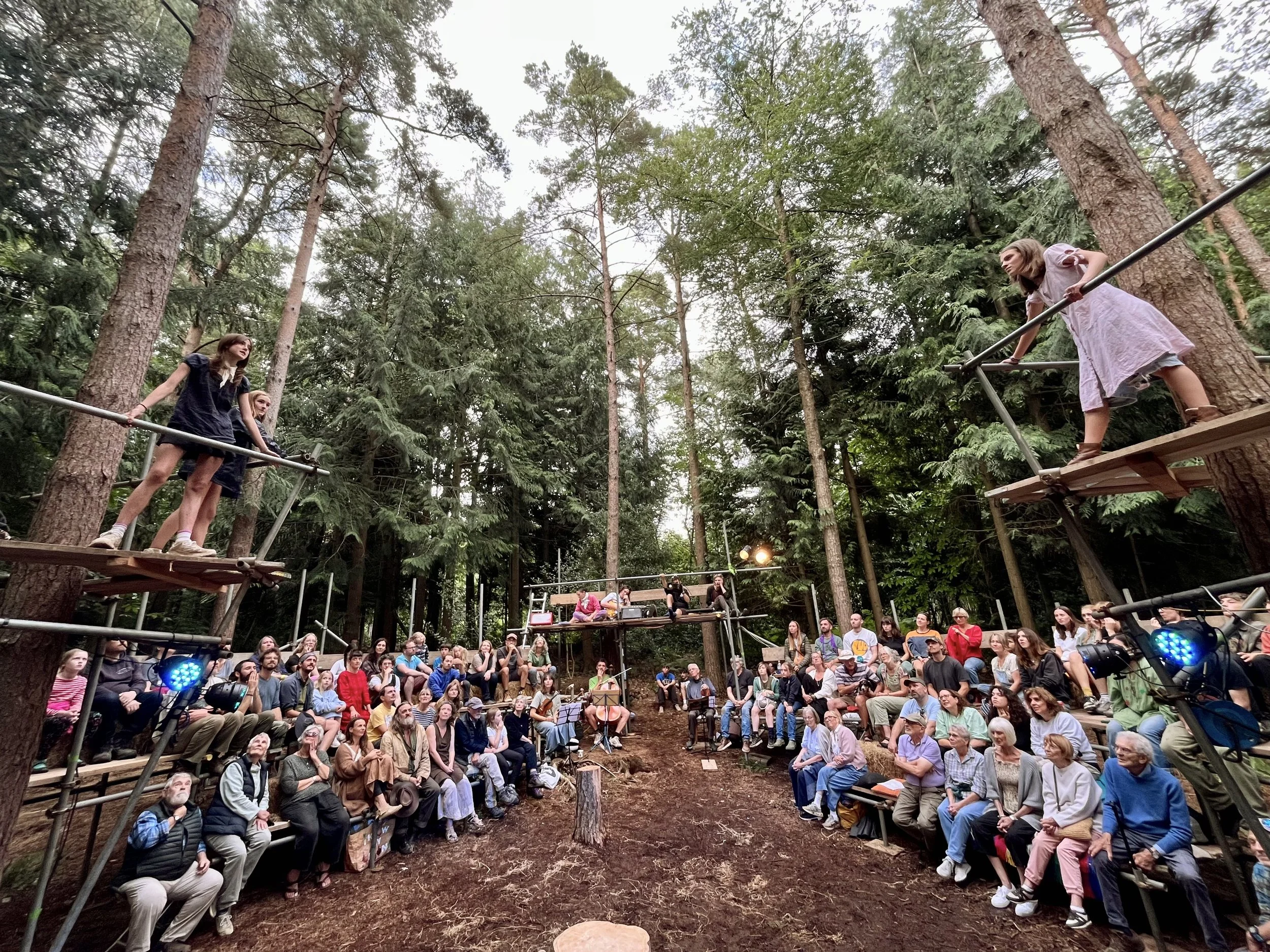 Twelfth Night in the Woods