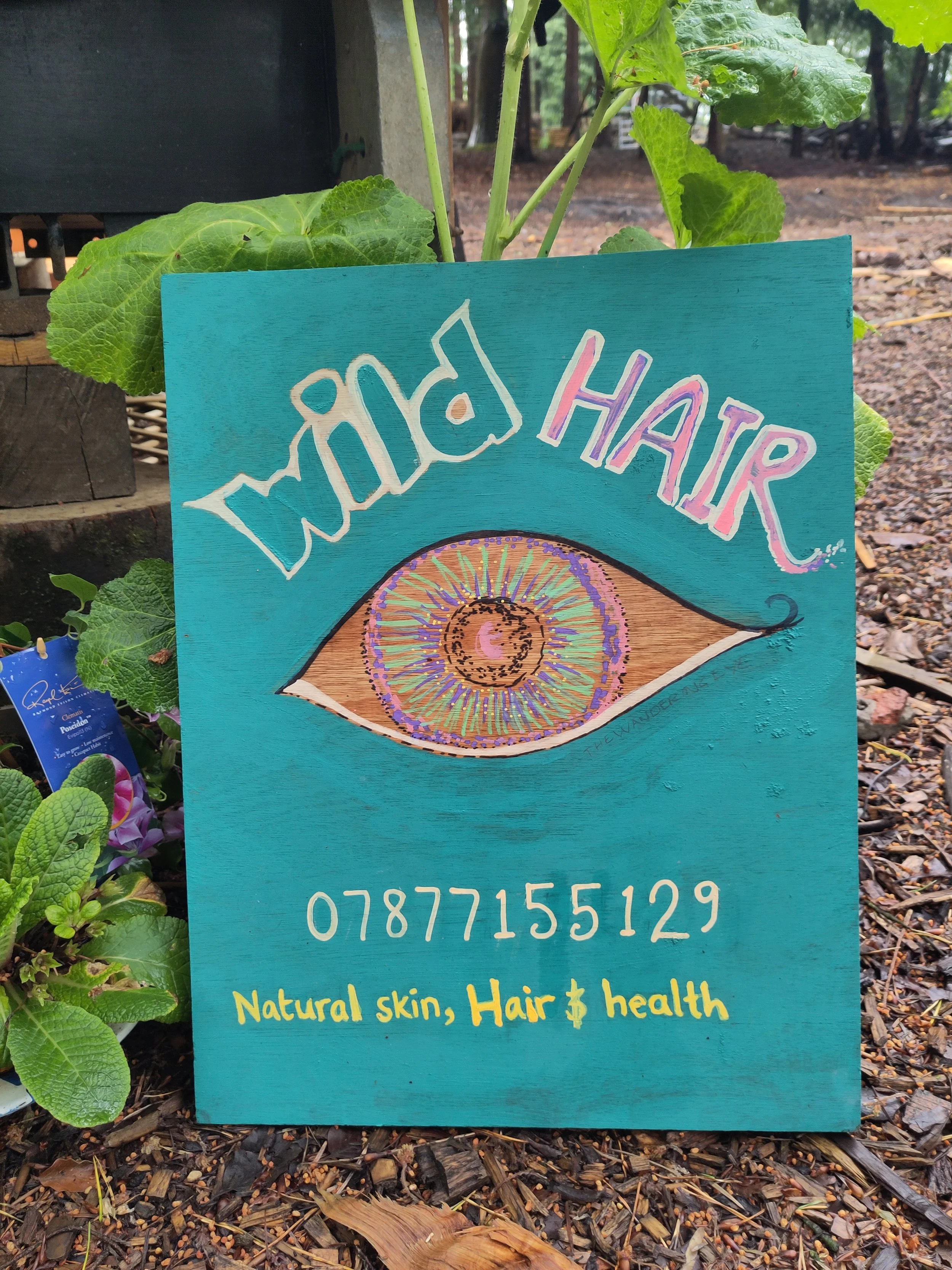 Wild Hair - Pop Up