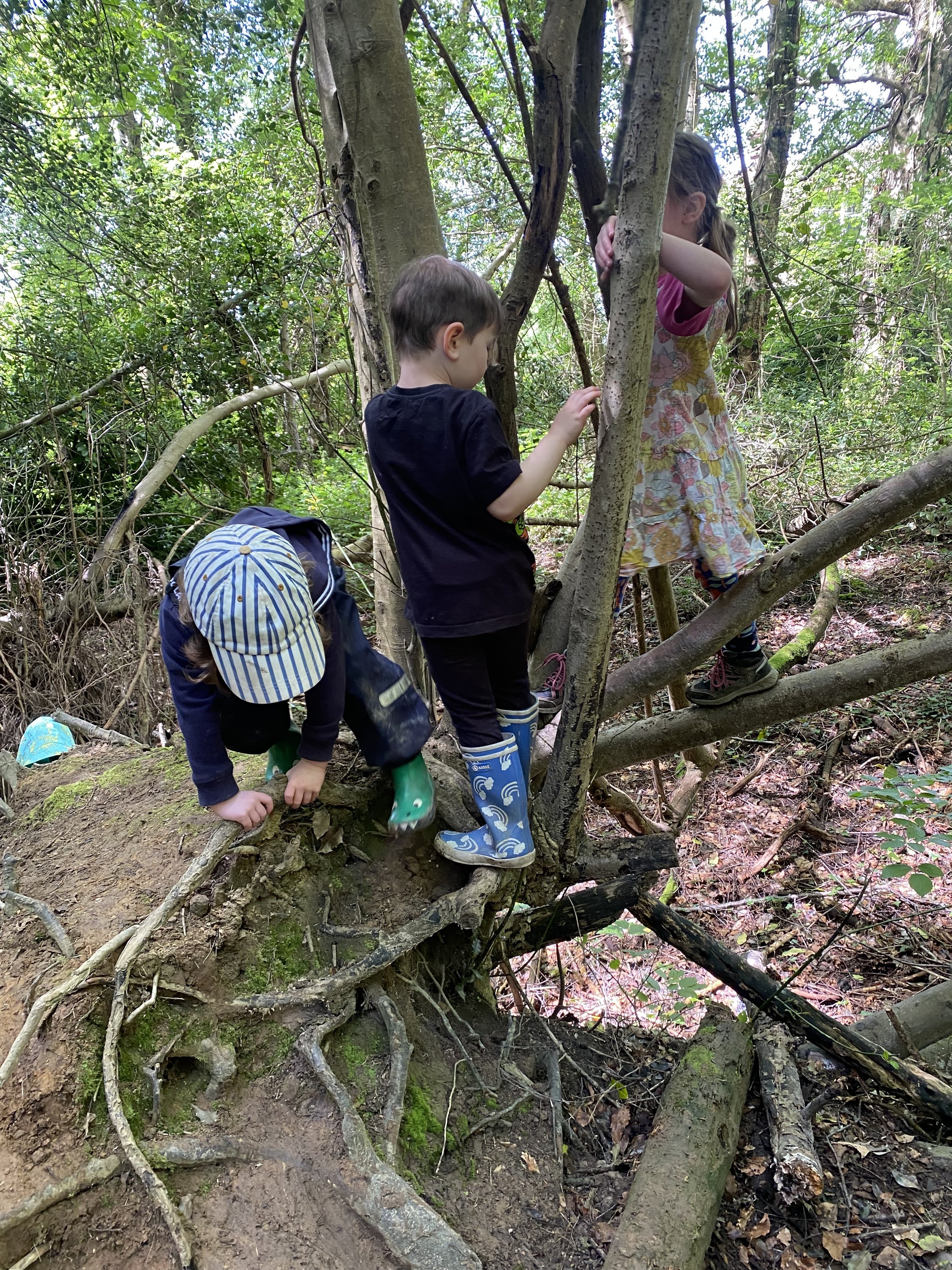 Little Forest School: Summer Family Forest School