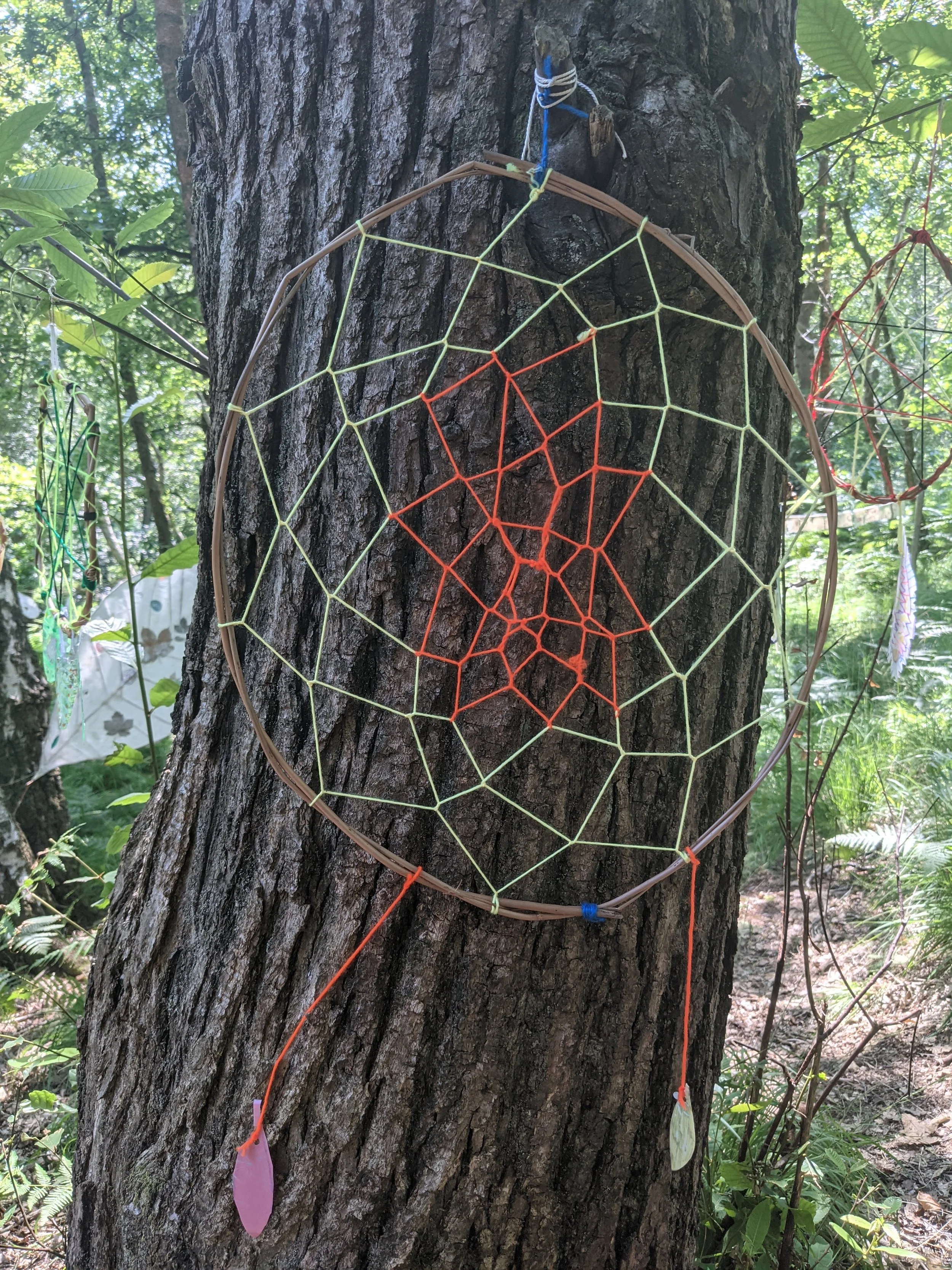 Wonders of Willow with Schools Without Walls