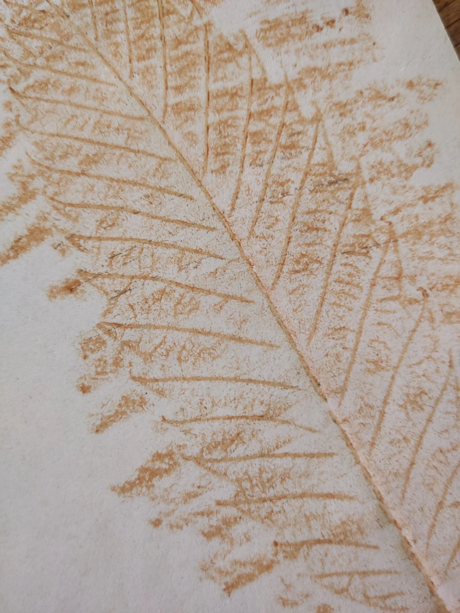Leaf busters! Codebreaking and Craft