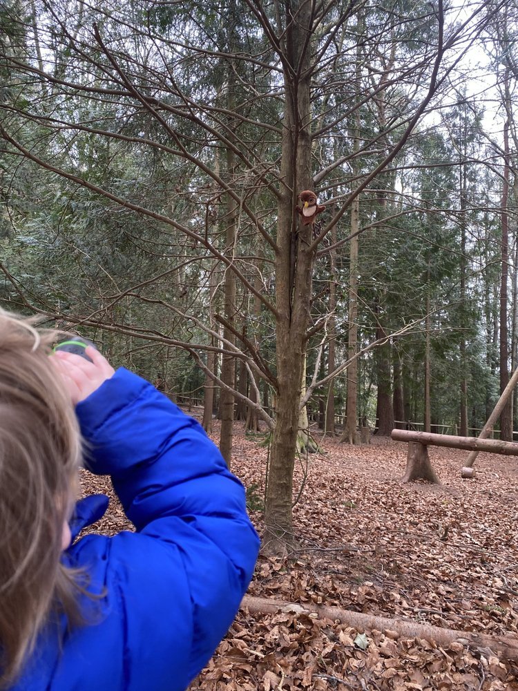 Forest School - Owlets