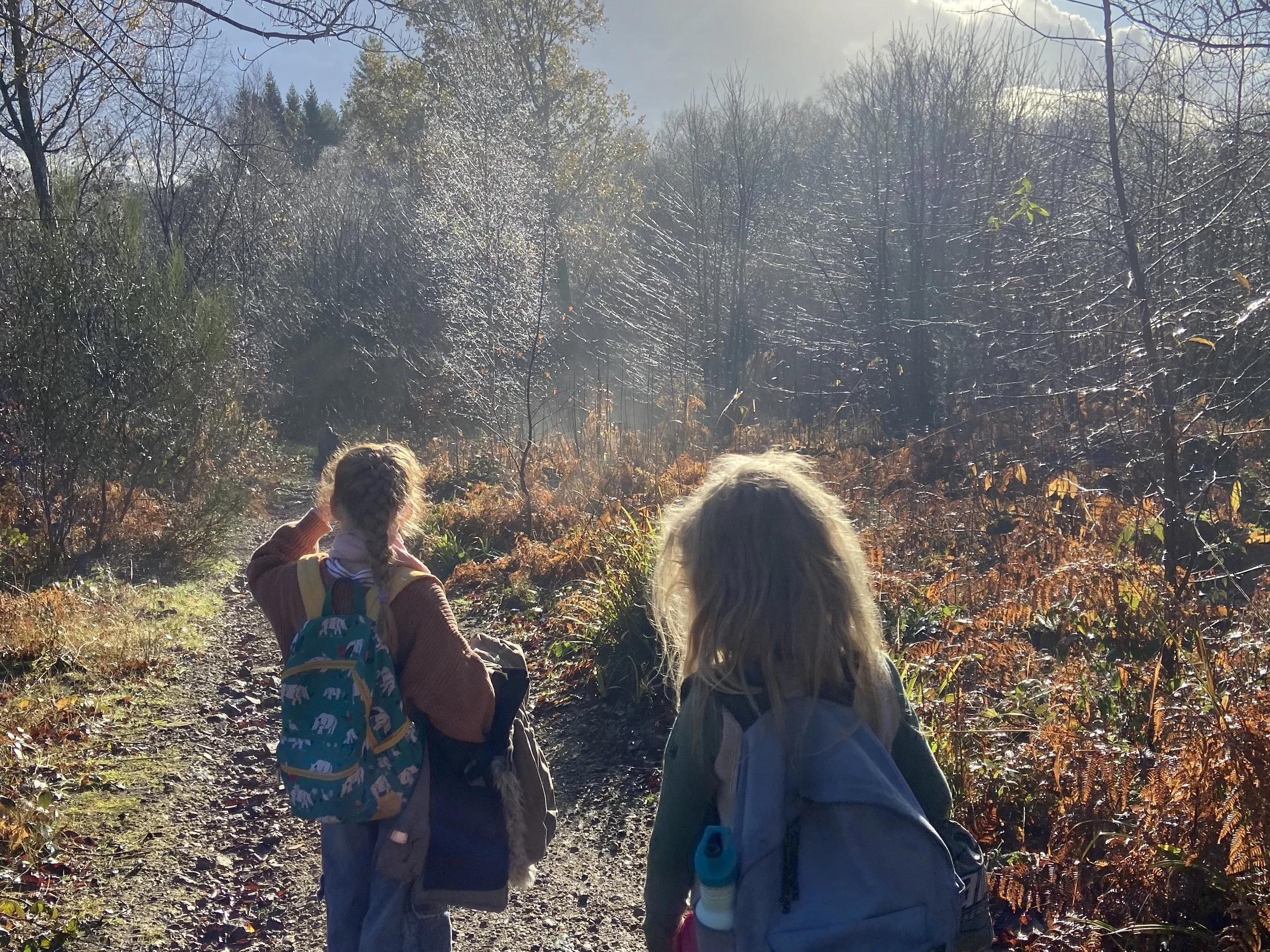 Grow Up Wild - Taster Session - Home Ed Forest School