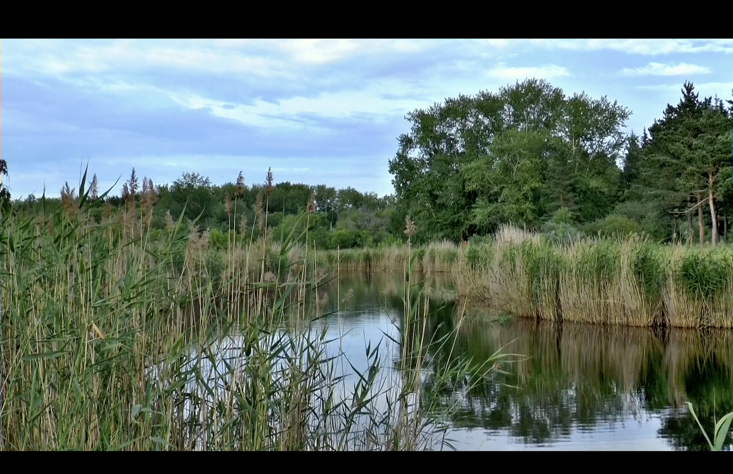 Screenshot 2023-07-12 at 13.42.48.png