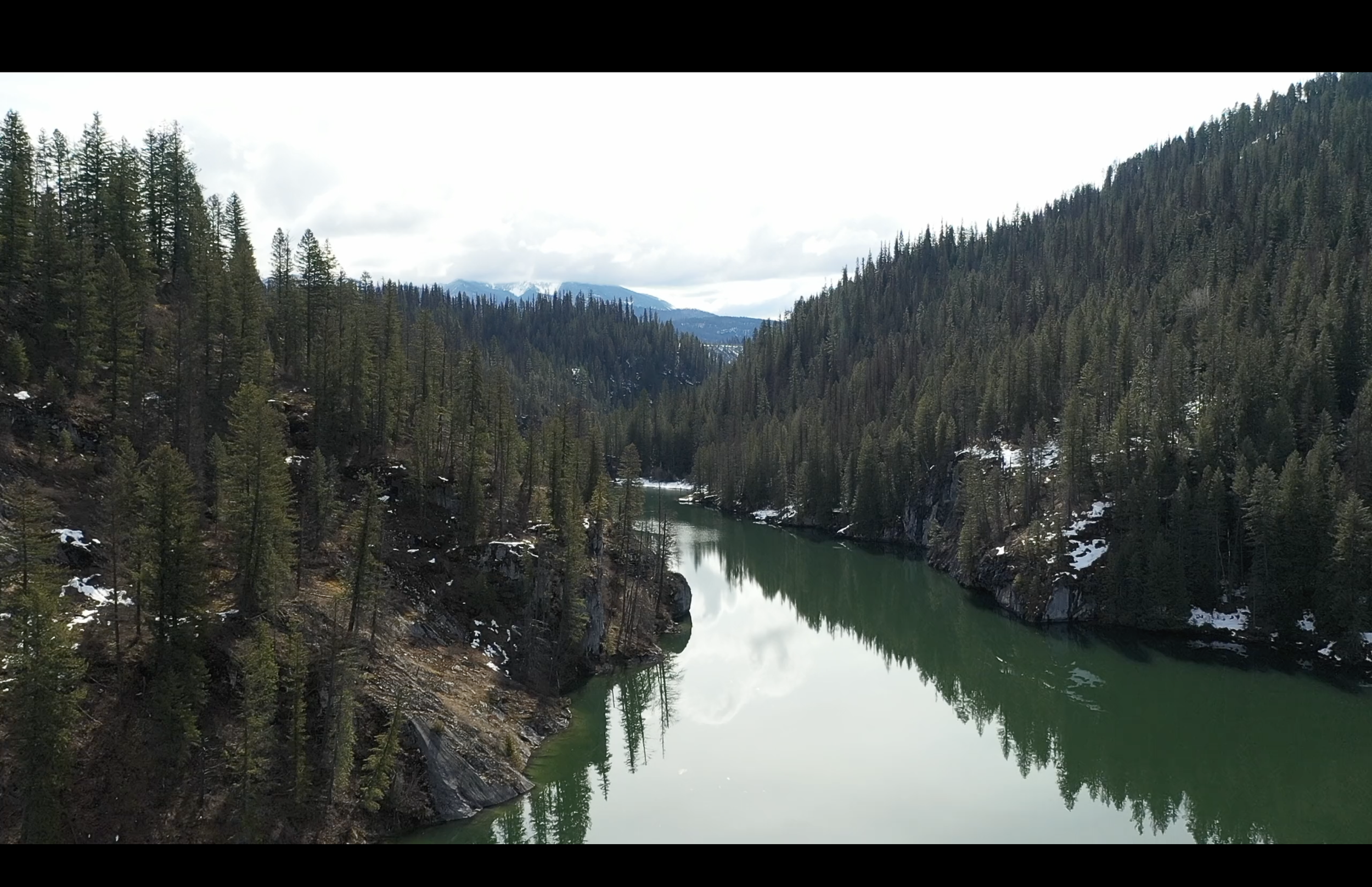 Screenshot 2023-07-12 at 09.13.13.png