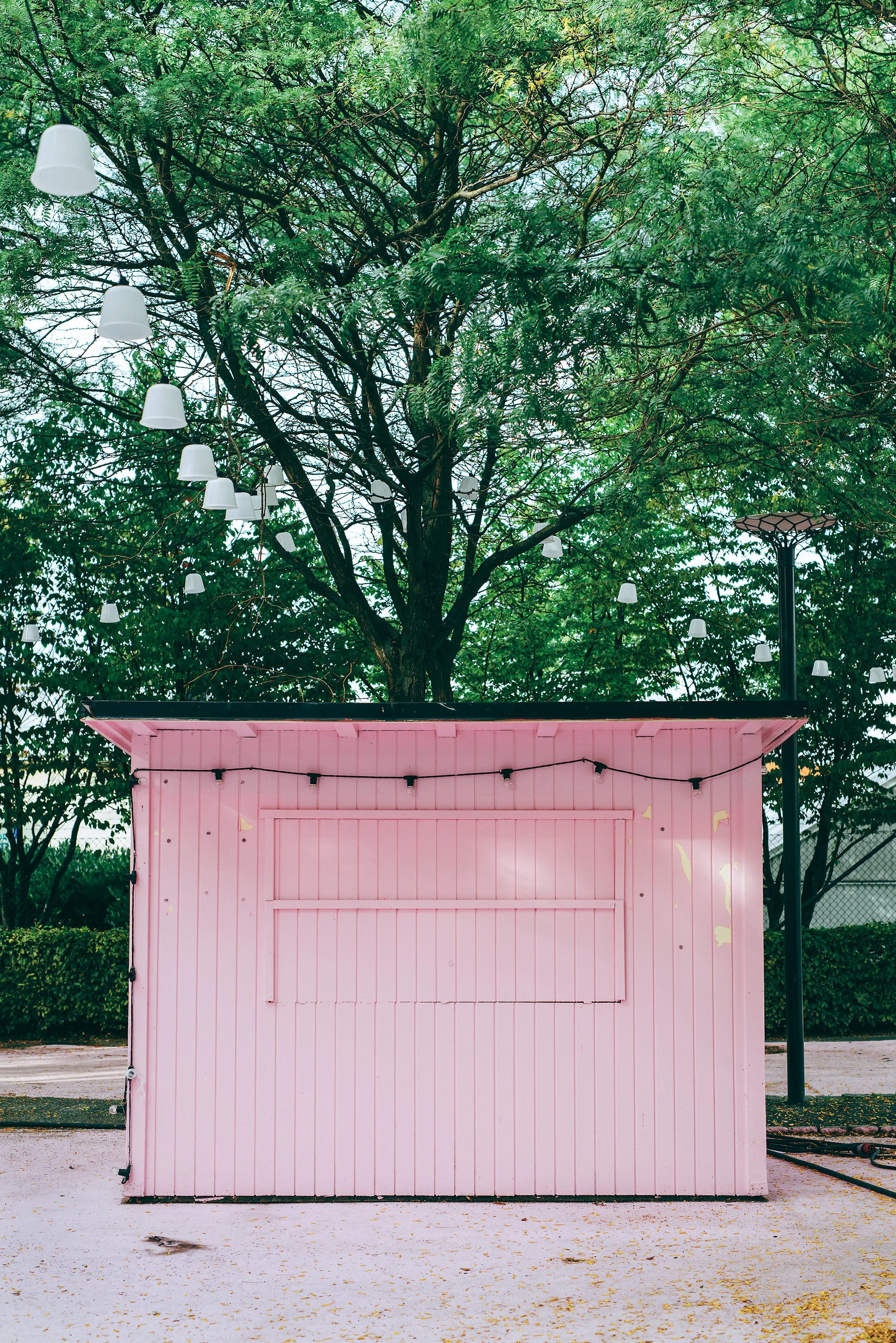 12_DSC1069-copy-NY.jpg