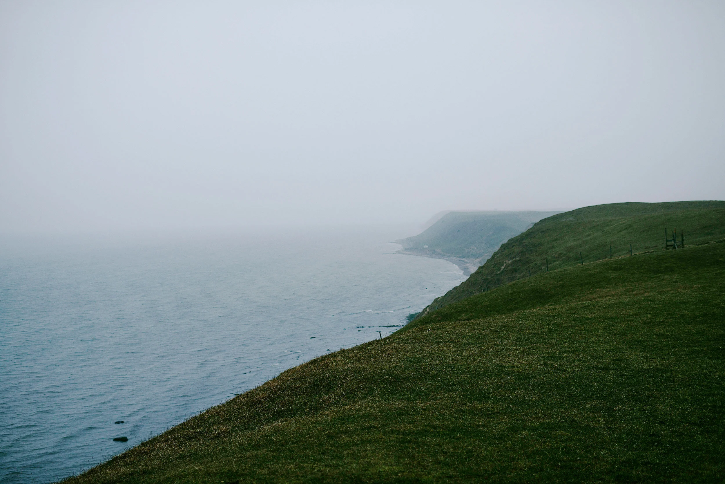 _DSC7819-copy-2018.jpg