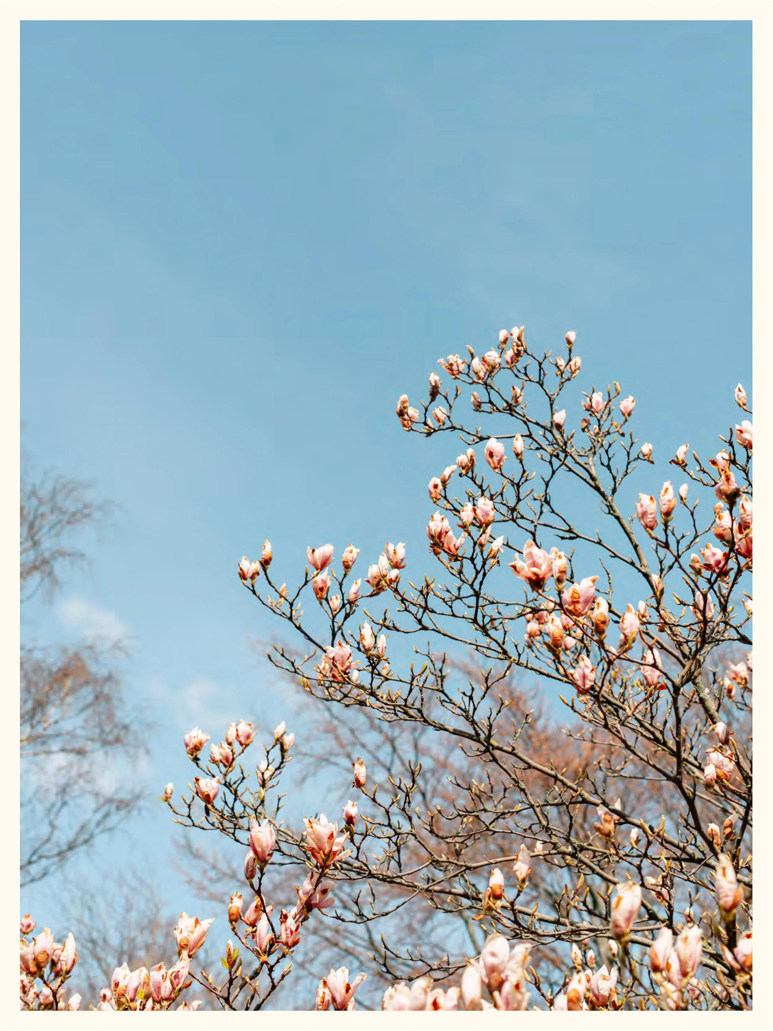 Andersson,Elna-UrbanaÖrter-71.jpg