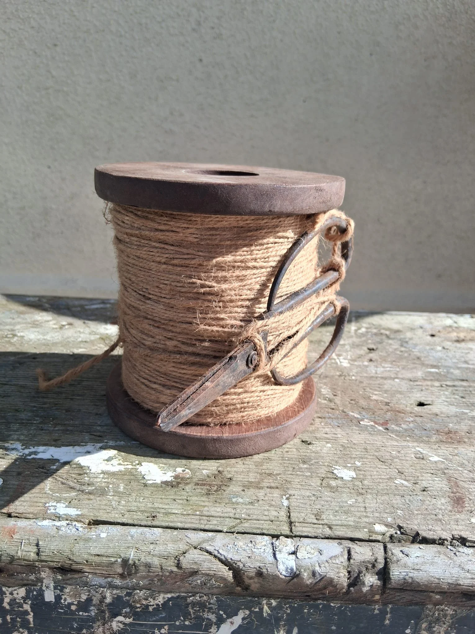 1000051638.jpg