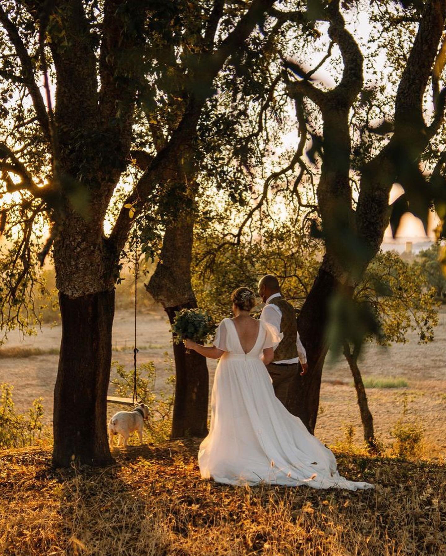 Uma floresta vestida do mais dourado e acolhedor Por de Sol, para receber com todos os seus bra&ccedil;os a alian&ccedil;a da C&amp;R! Uma alegria e amor contagiantes! 🧡

A forest dressed in the most golden and welcoming Sunset, to welcome the C&amp