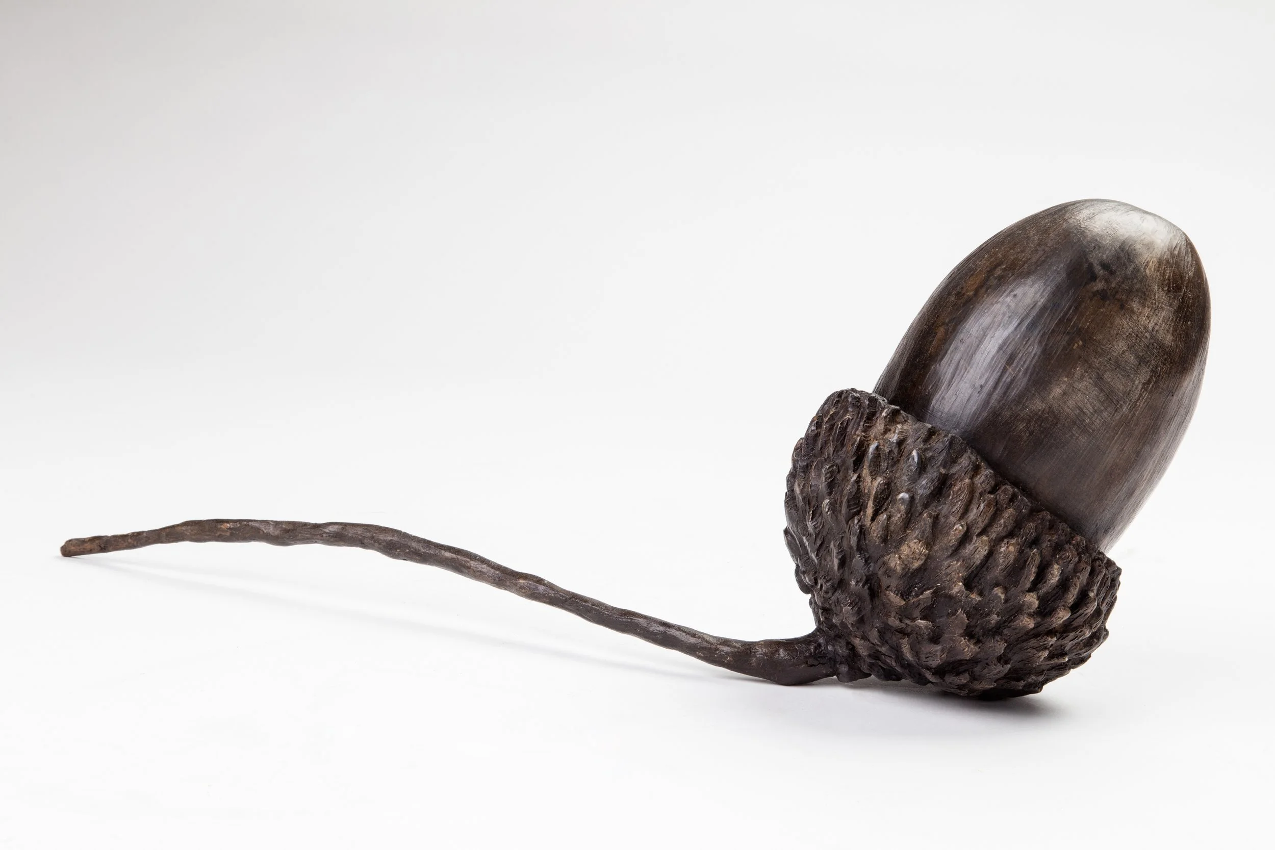 Acorn_Kate_Cledwyn_Sculpture.jpg