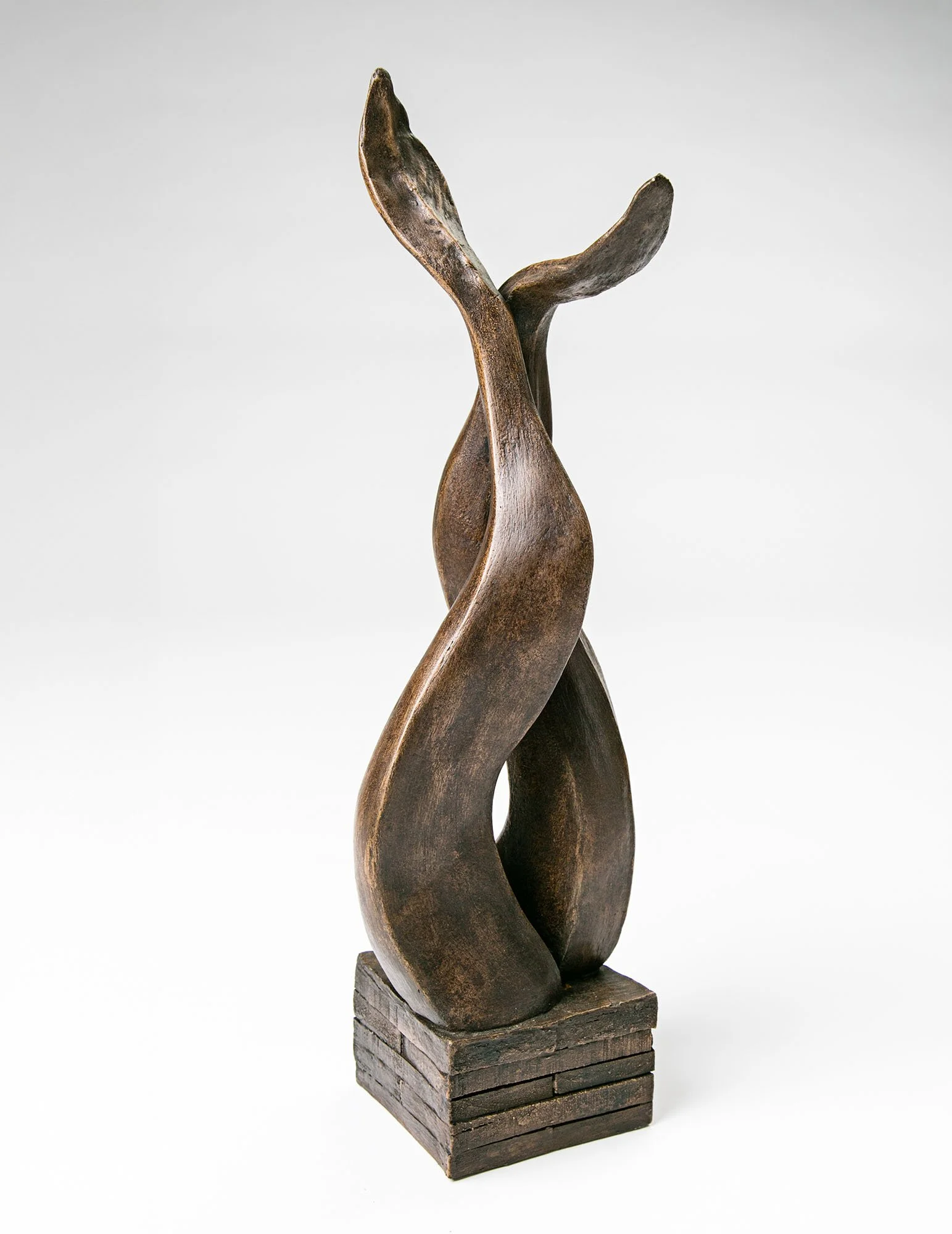 Entwine_Small_Kate_Cledwyn_Sculpture_1_low.jpg