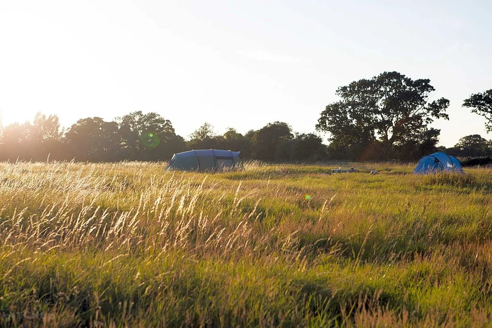 Donnington Wild Camping Donnington Retreats Chichester Accomodation