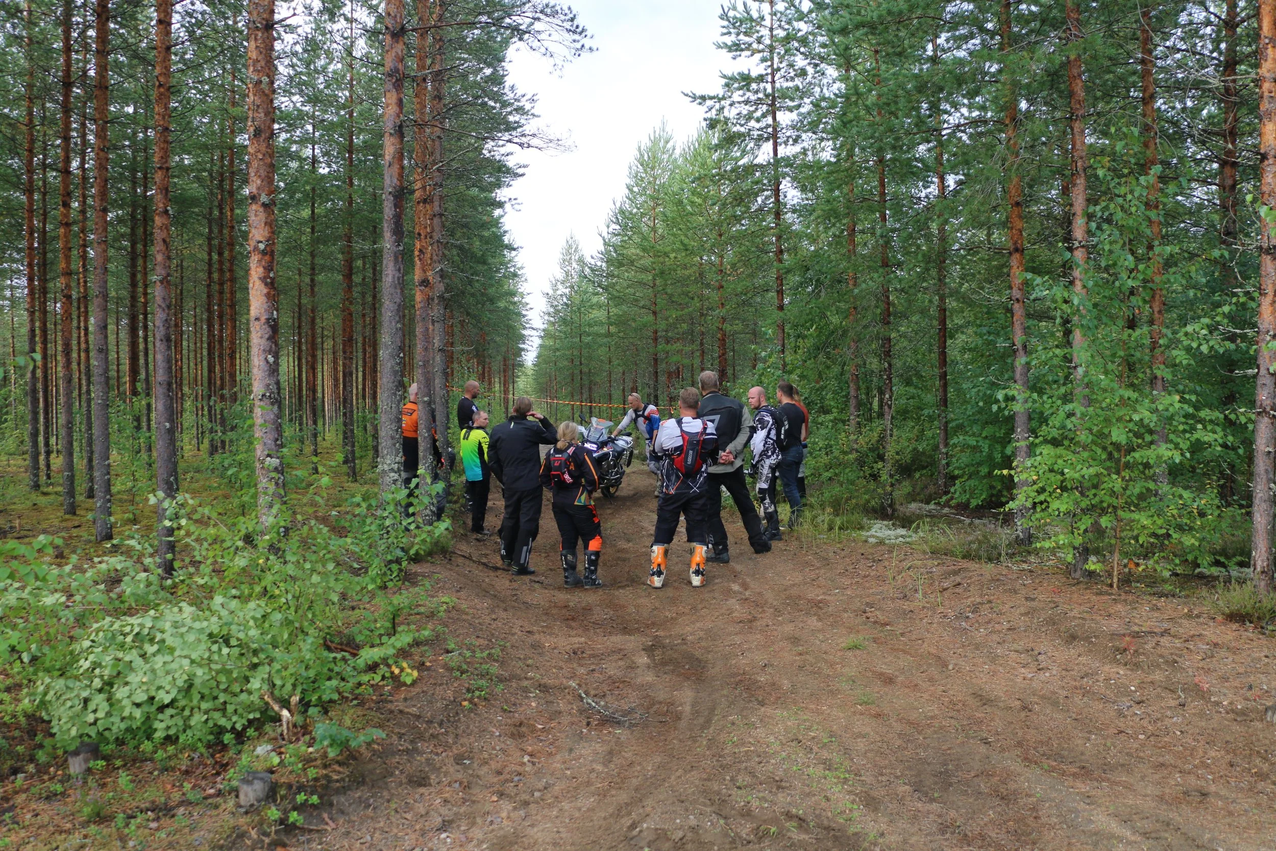 Ryhmäläisiä kokoontuu metsässä, keskustelu ja valokuvaus, ympärillä puita ja polku.