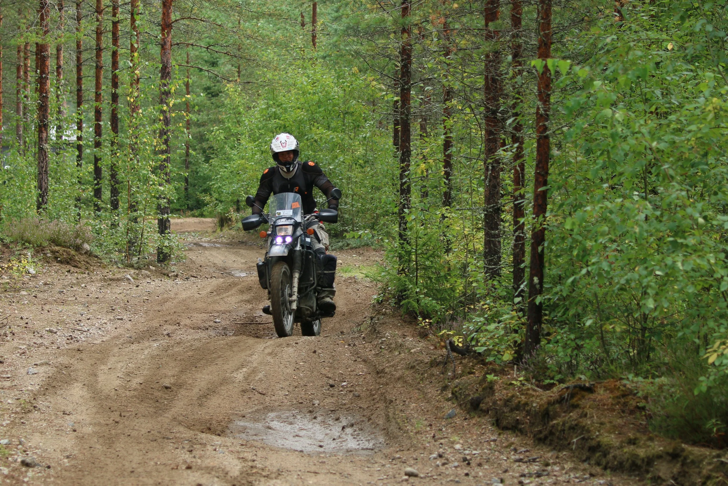 Mies motocross-varusteissa ajaa maastopyörätiellä metsässä.