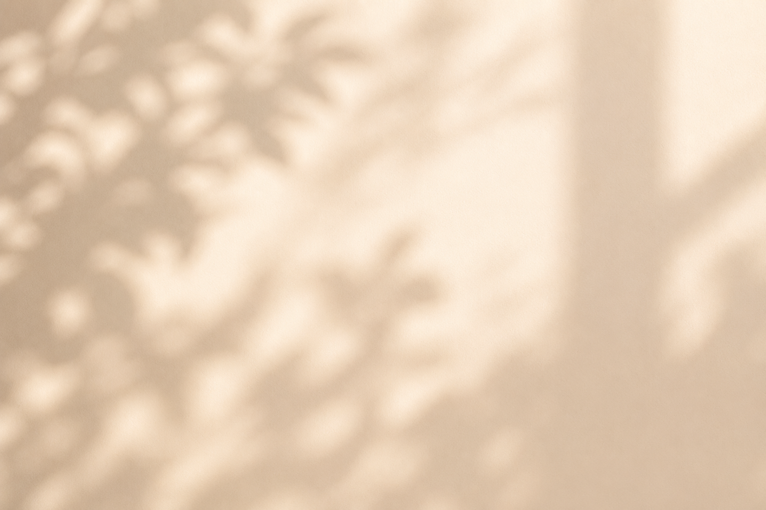 Blurred image with beige and tan tones, possibly showing plants or flowers in the background.