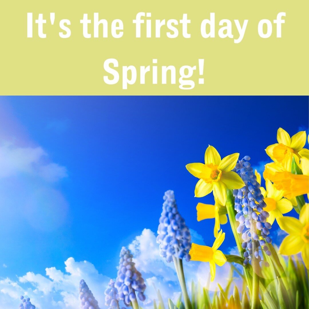 Spring is all about seeing new life after a dark winter! And that pretty much sums up ID Grace House for us. A place where our residents can have a fresh start, a second chance to begin again and learn to see what their life can be like free of crime