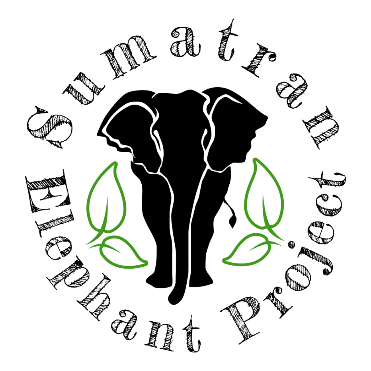 Sumatran Elephant Project