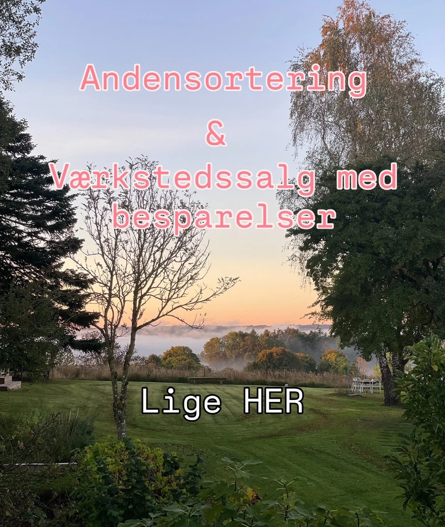 S&oslash;ndag den 5. oktober kl 11-14 er der fyldt op p&aring; andensorteringsbordene. Der er b&aring;de ting med sm&aring; og st&oslash;rre fejl, v&aelig;rkstedseksperimenter og udg&aring;ende varer at f&aring; fingre i. Alt sammen til skarpe priser
