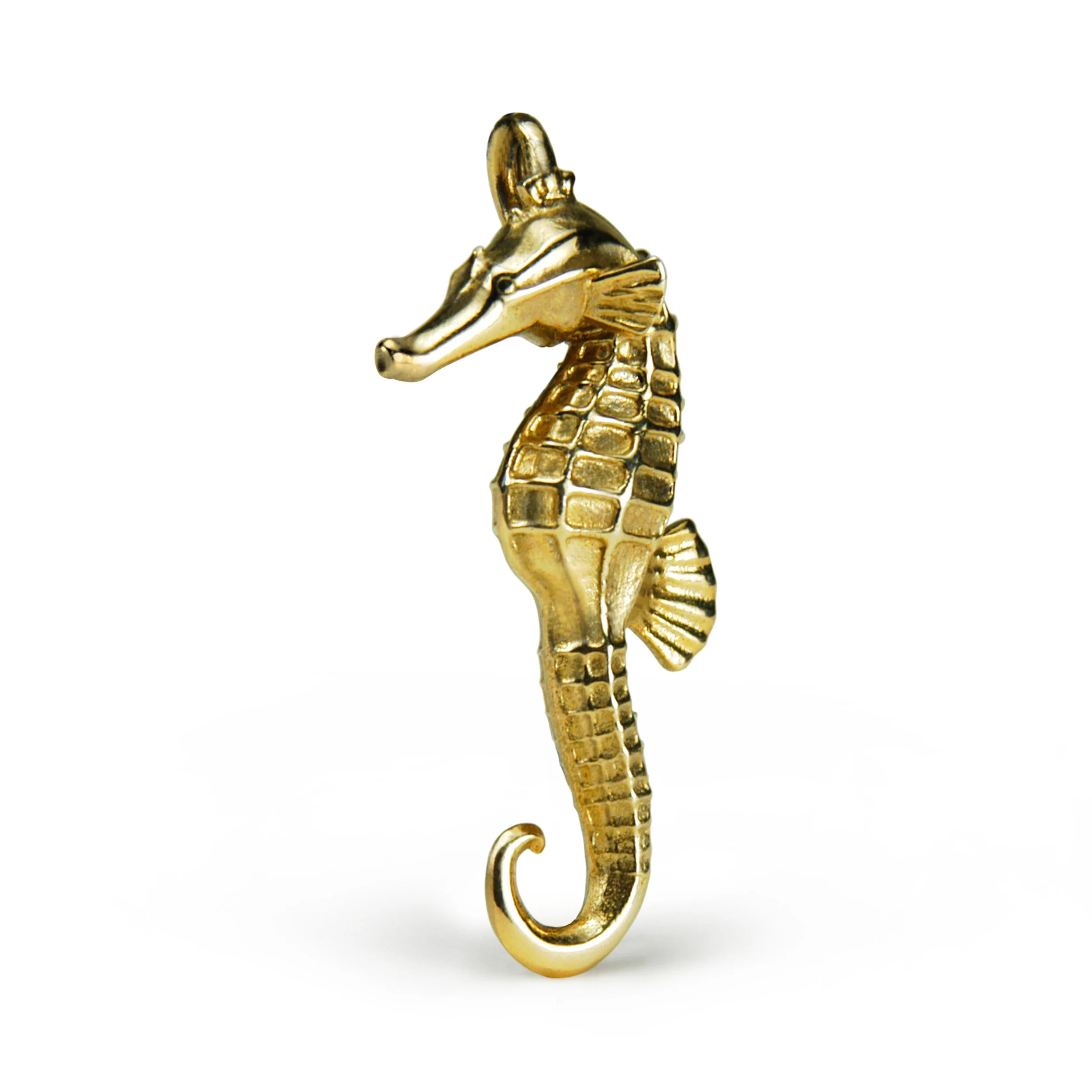 19_CAVALLUCCIO_big copy.jpg