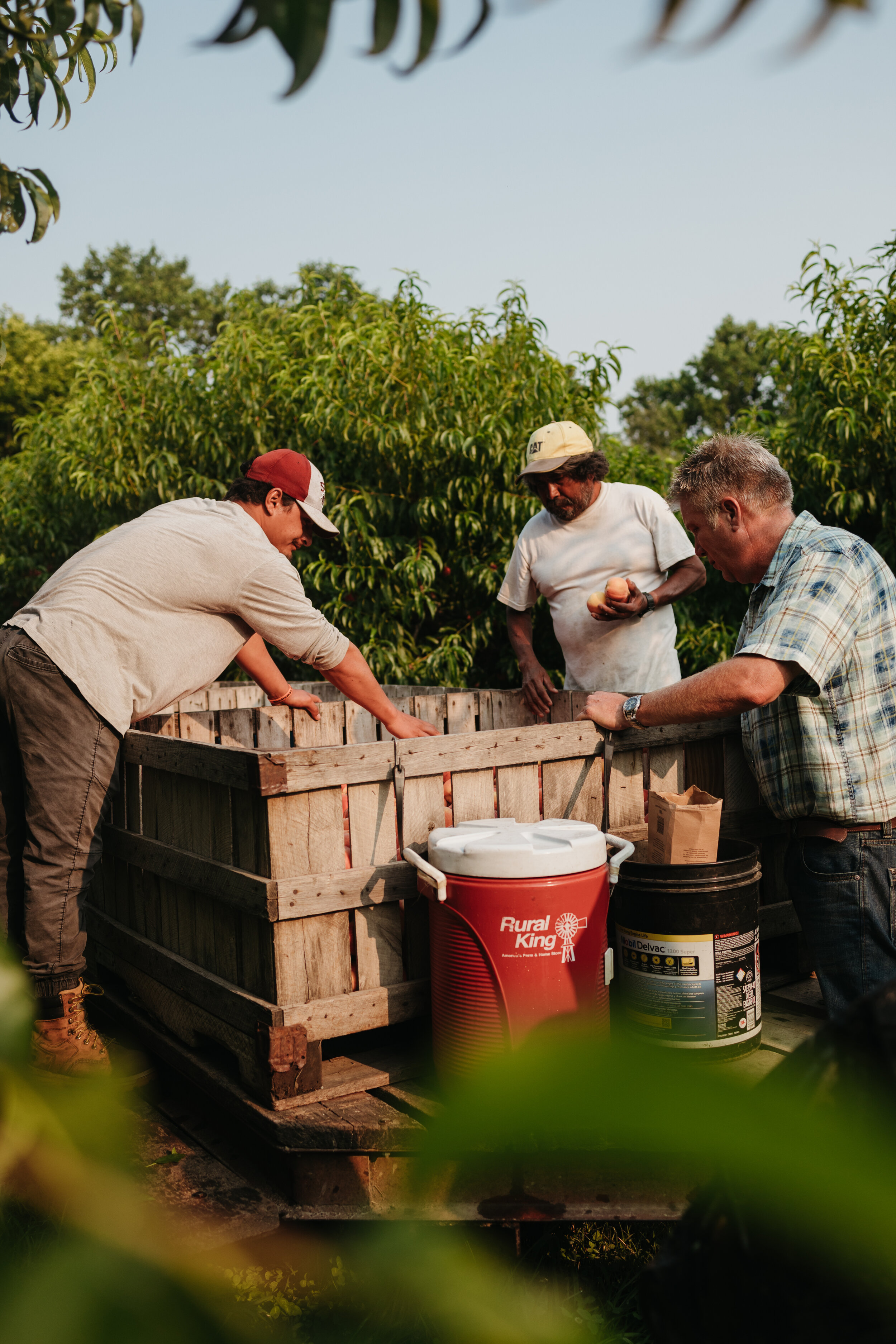 RendlemanOrchards_nw2021-82.jpg