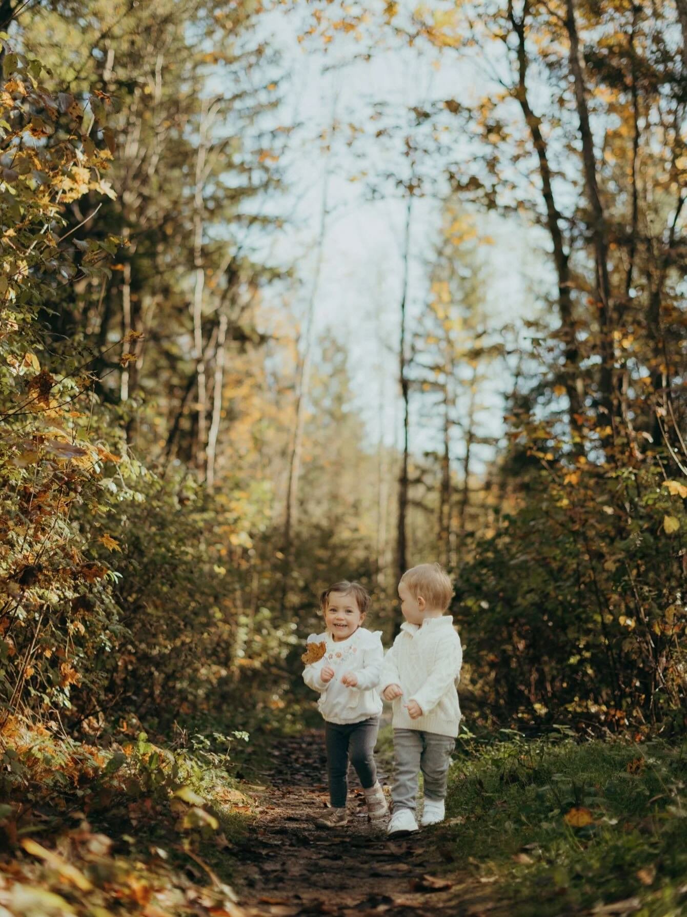 𝐻𝑒𝑟𝑏𝑠𝑡 𝑖𝑠𝑡, 𝑤𝑒𝑛𝑛 𝑑𝑖𝑒 𝐵&auml;𝑢𝑚𝑒 𝑚𝑖𝑡 𝐾𝑜𝑛𝑓𝑒𝑡𝑡𝑖 𝑤𝑒𝑟𝑓𝑒𝑛&hellip; 

&hellip; und gerade mit Kindern macht ein Shooting im Herbstlaub so unglaublich viel Spa&szlig;! 

Magst du auch? Wetterabh&auml;ngig kann ich spontan 