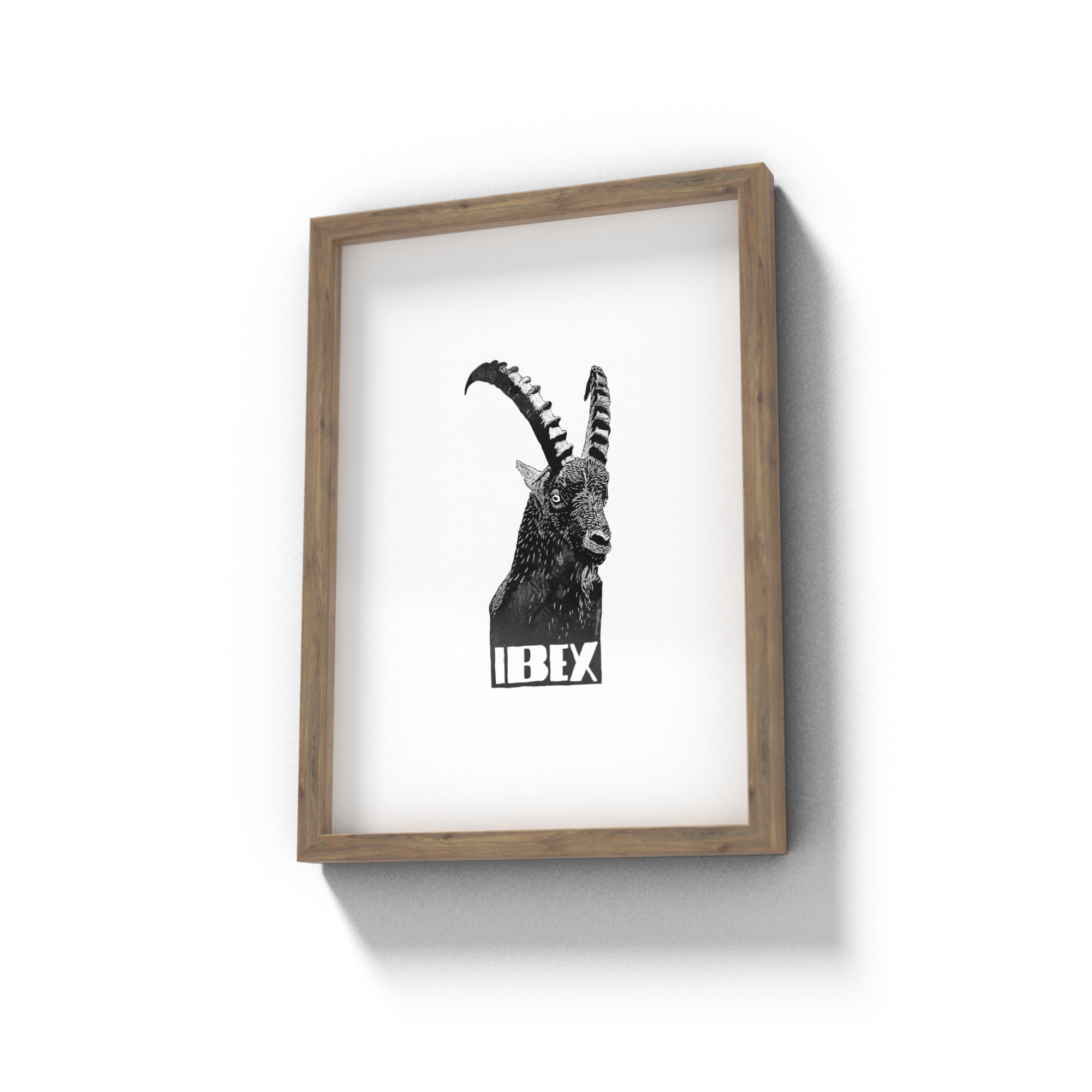 Poster_Ibex_Trans.png