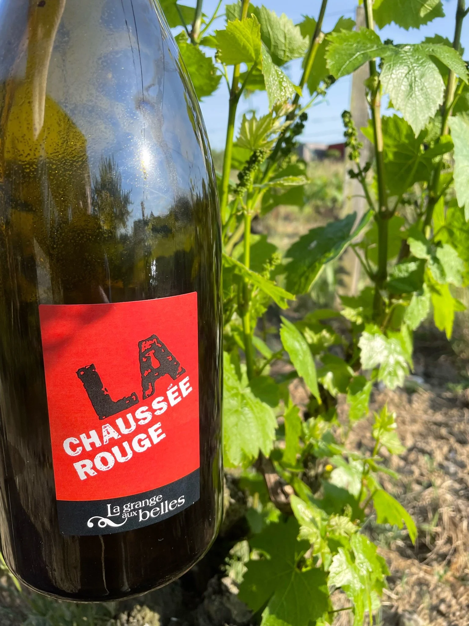 Tour de Loire pt. 5 (Grange aux Belles)