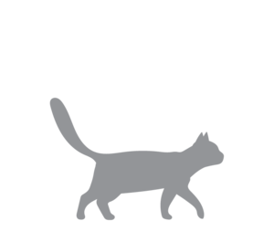 Icons_Holland_Animales-02.png