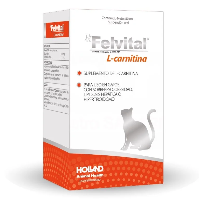 Holland — ¿Qué es Rx Felvital L-Carnitina?