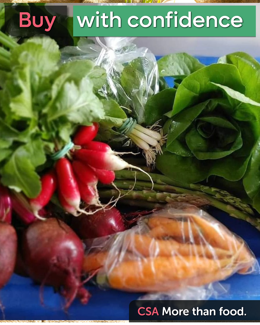 Fall 2026 CSA (4 weeks-every other week see description for weeks available)