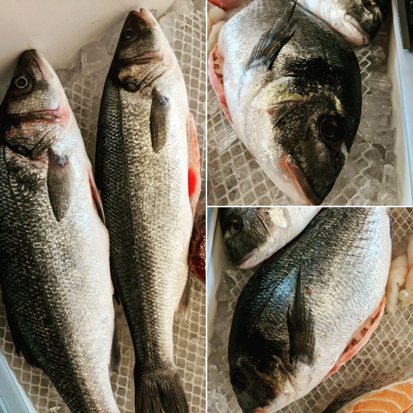 Gallery 1 — The Fish Market Marblehead