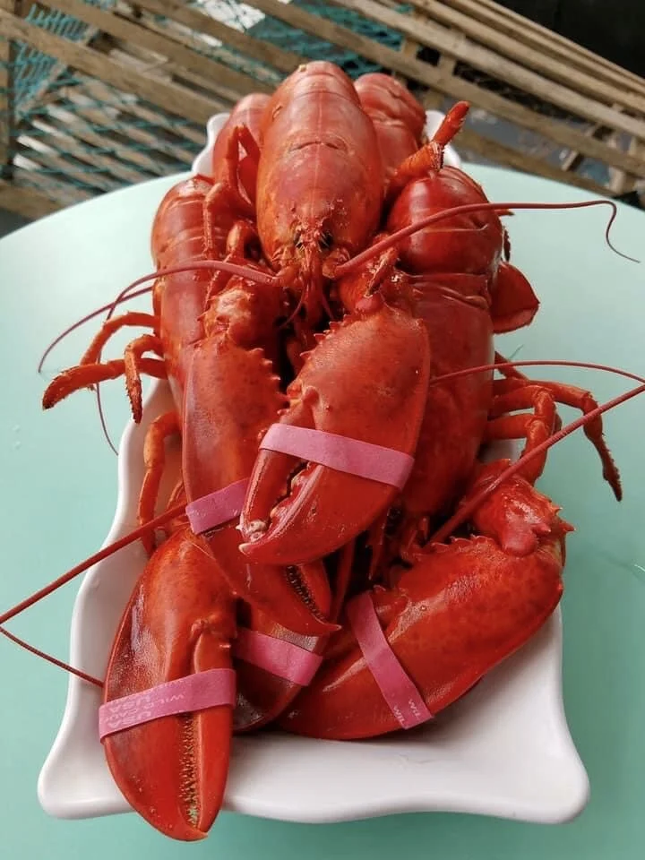 Gallery 1 — The Fish Market Marblehead