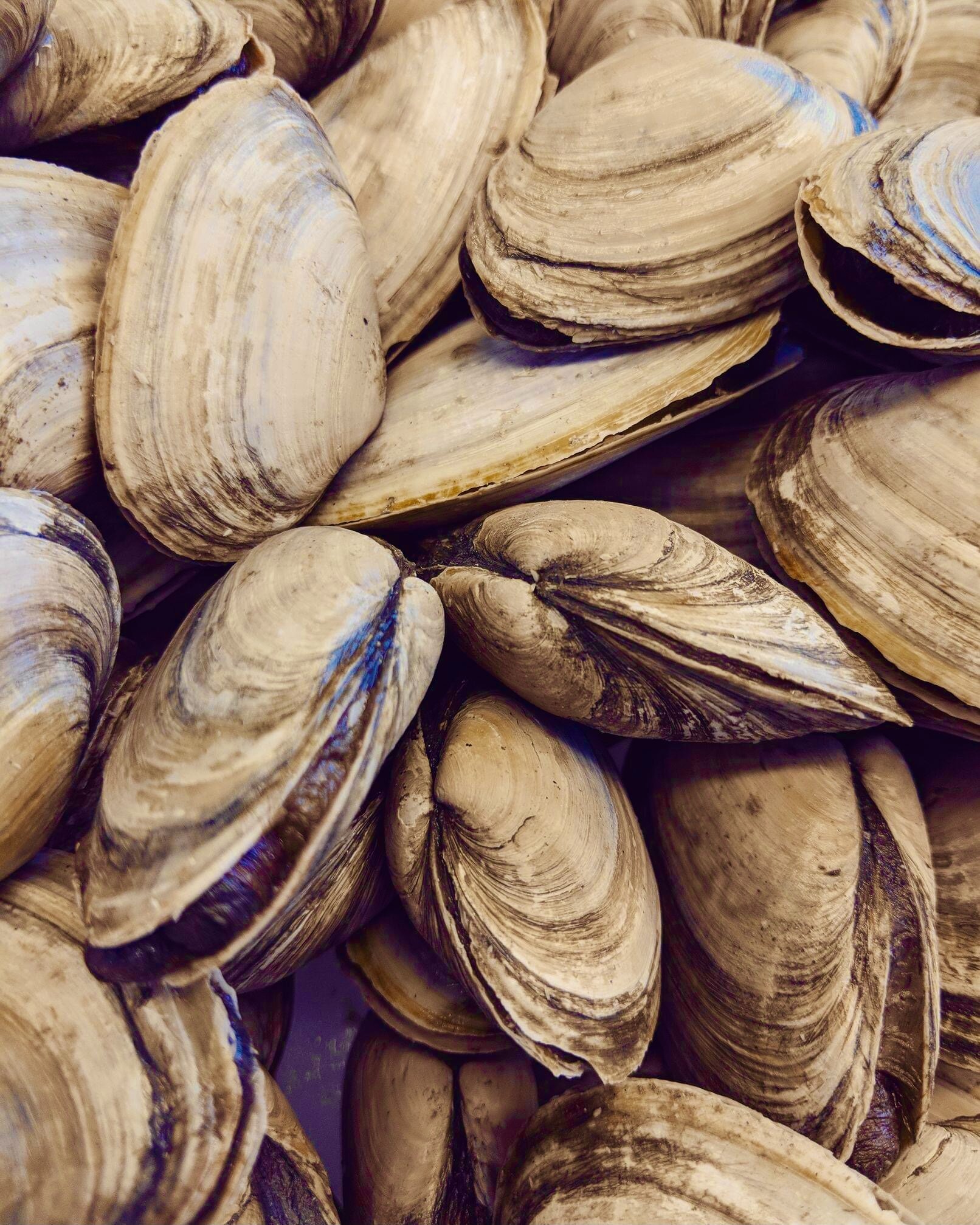 Gallery 1 — The Fish Market Marblehead