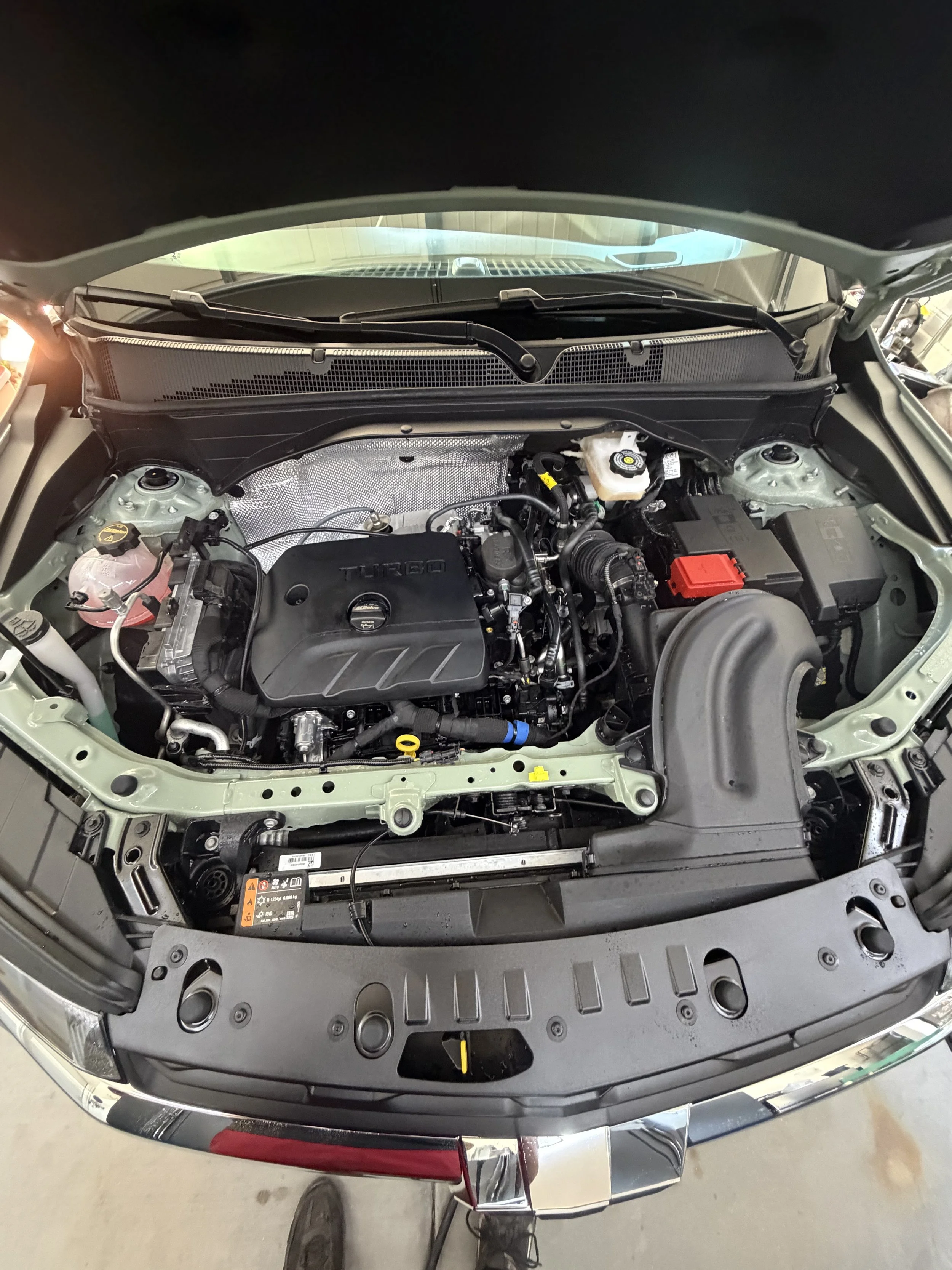 Engine degreased and protected after an engine bay detail in Estrella Mountain Ranch Goodyear, AZ.