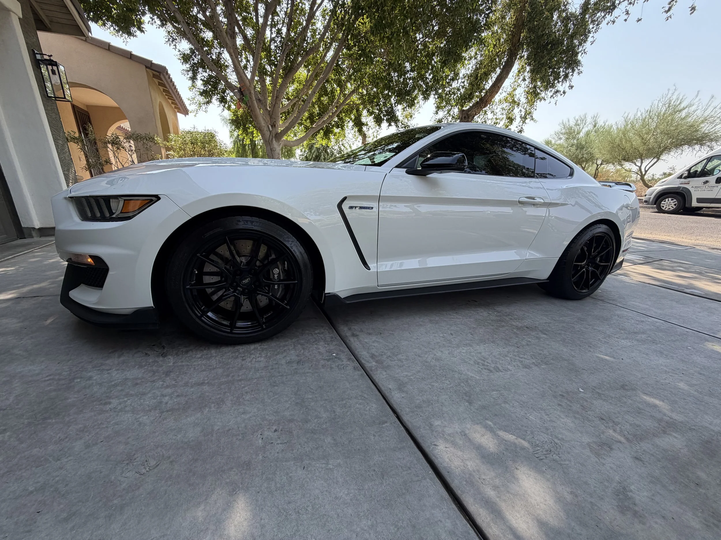 shelby mustang photo after maintenance detail in Buckeye, AZ
