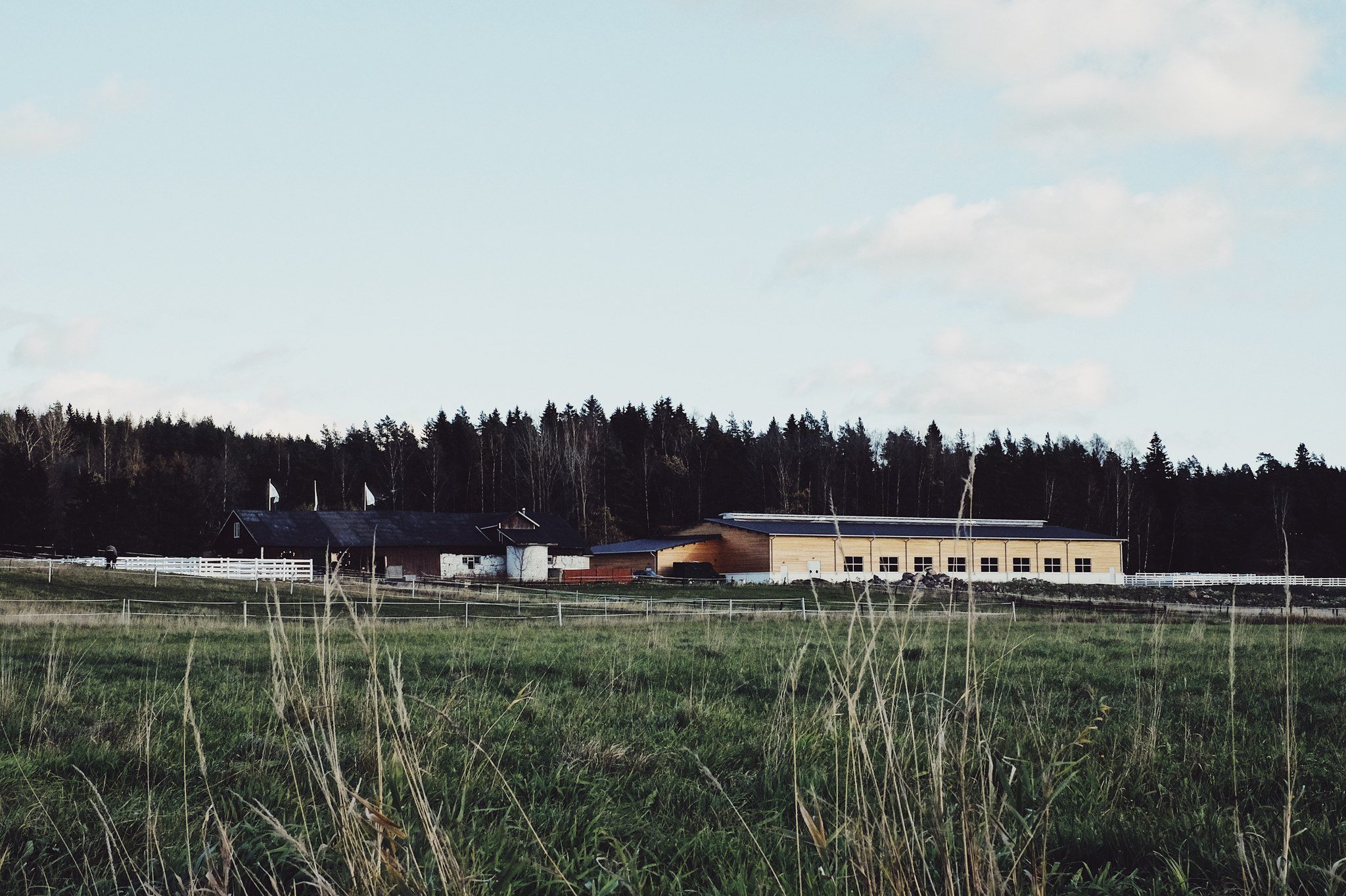 A76D6A37-EA8D-40BD-B462-0BFAFB6CEEA9.jpeg