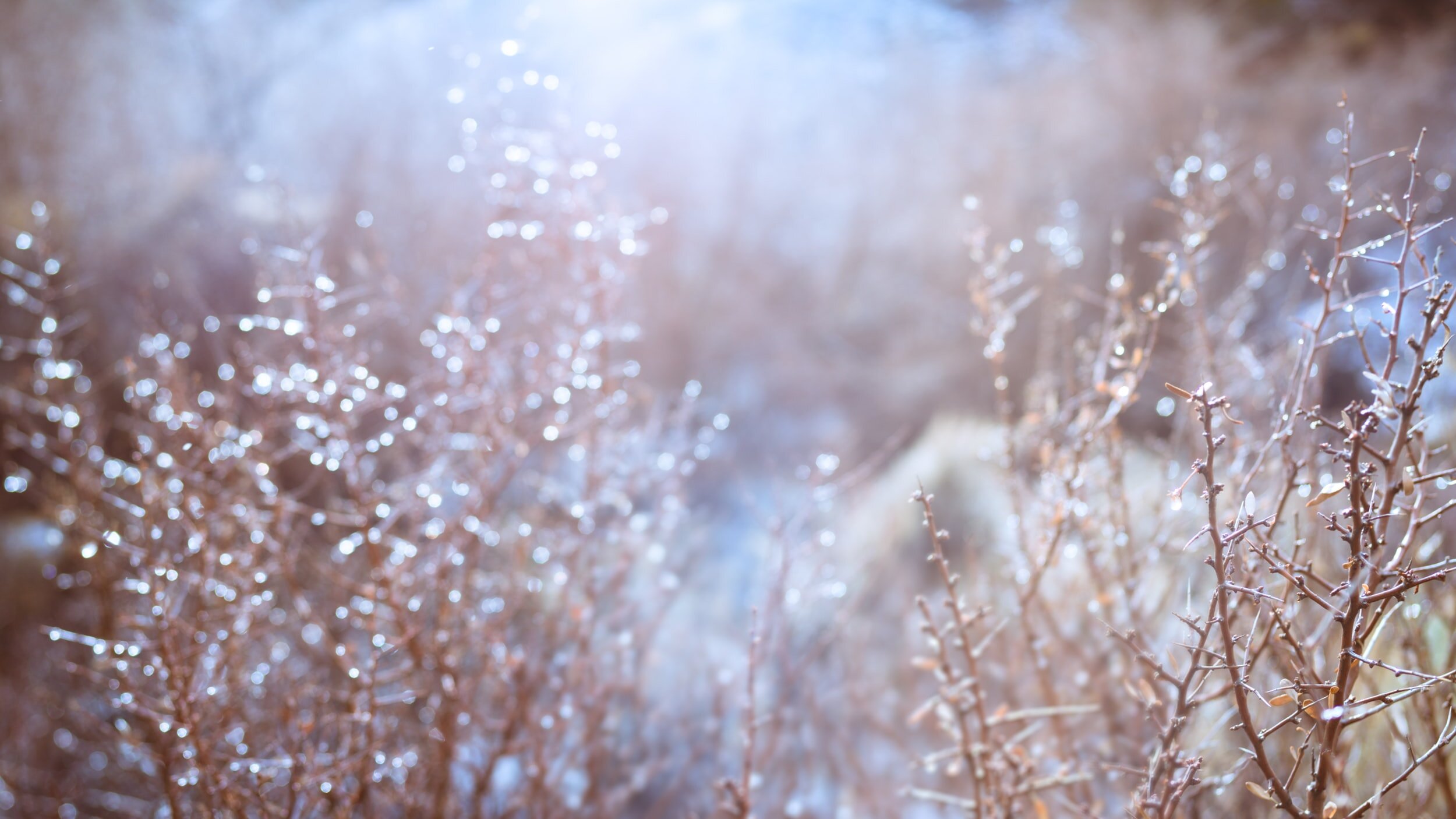 Landscape, tranquility, peace, hope