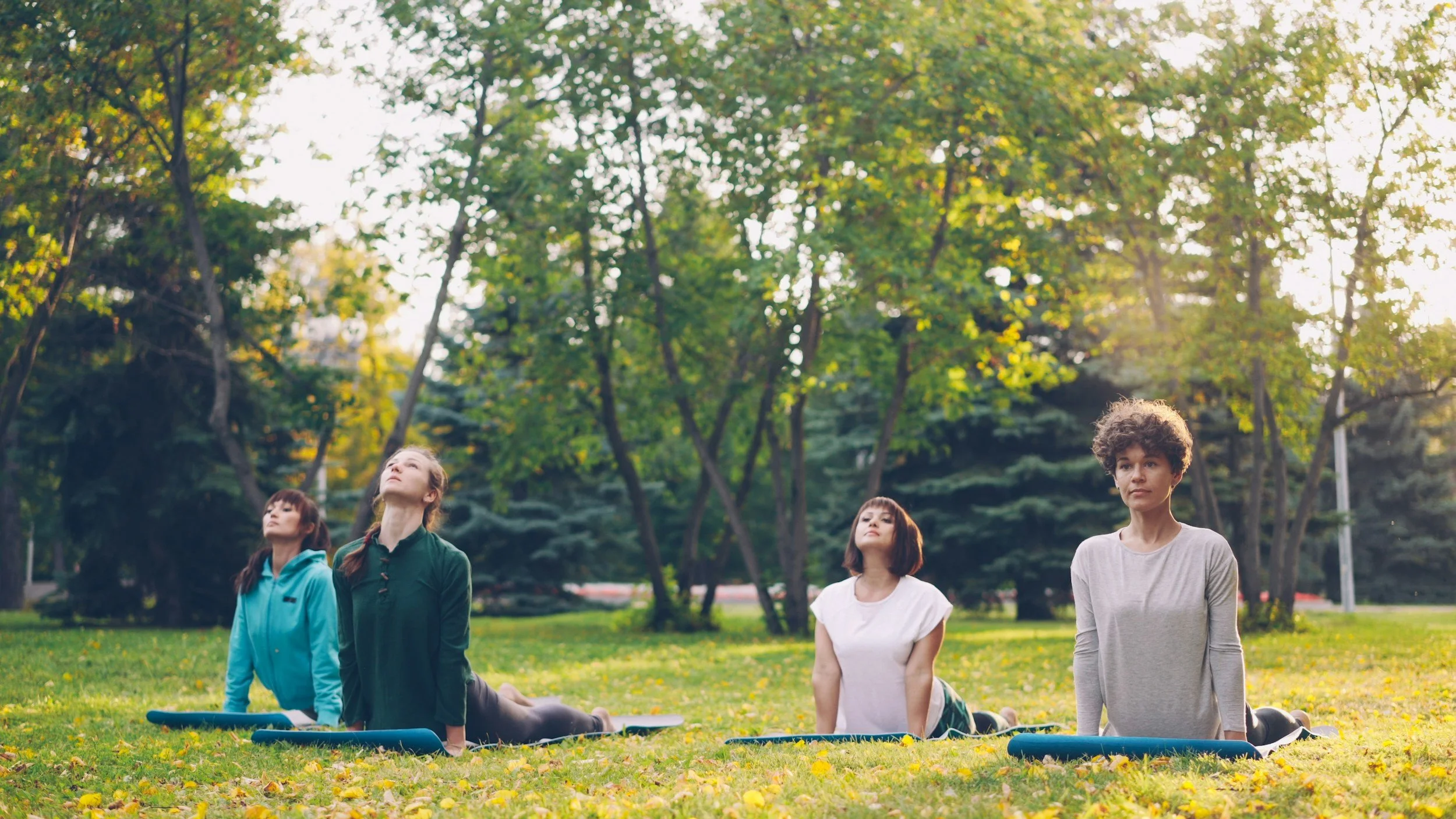 Women stretching outside
