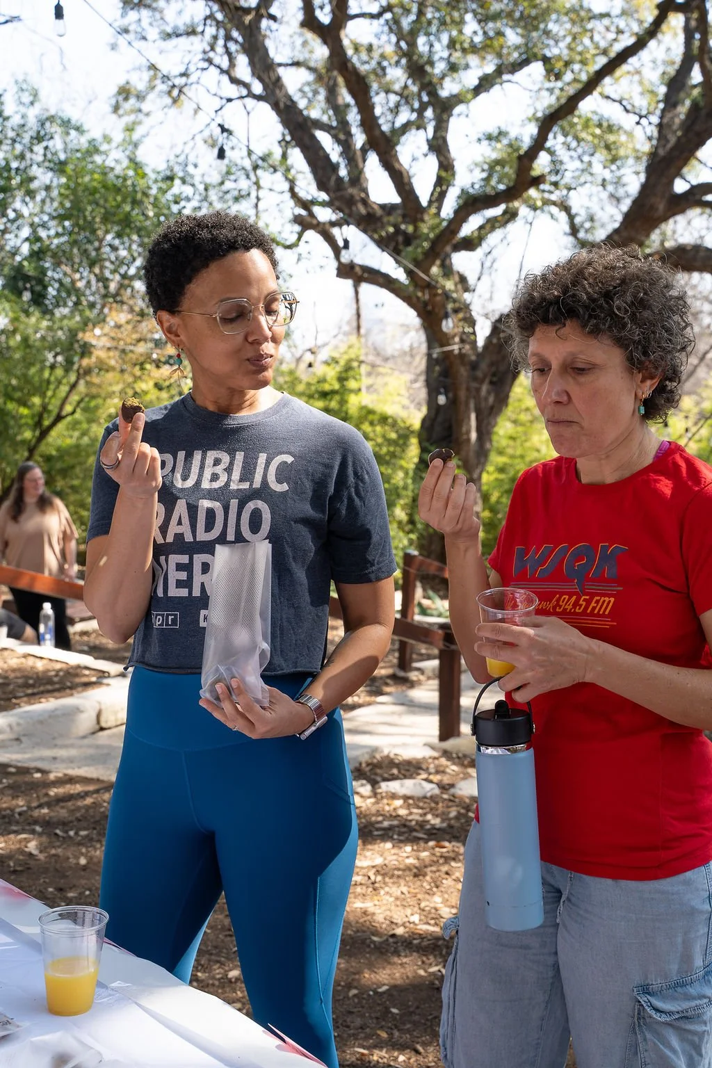 Better bites - protein bites