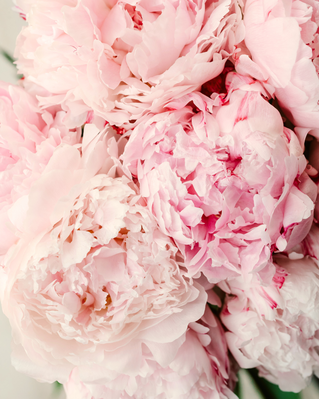 Pink Floral Decor