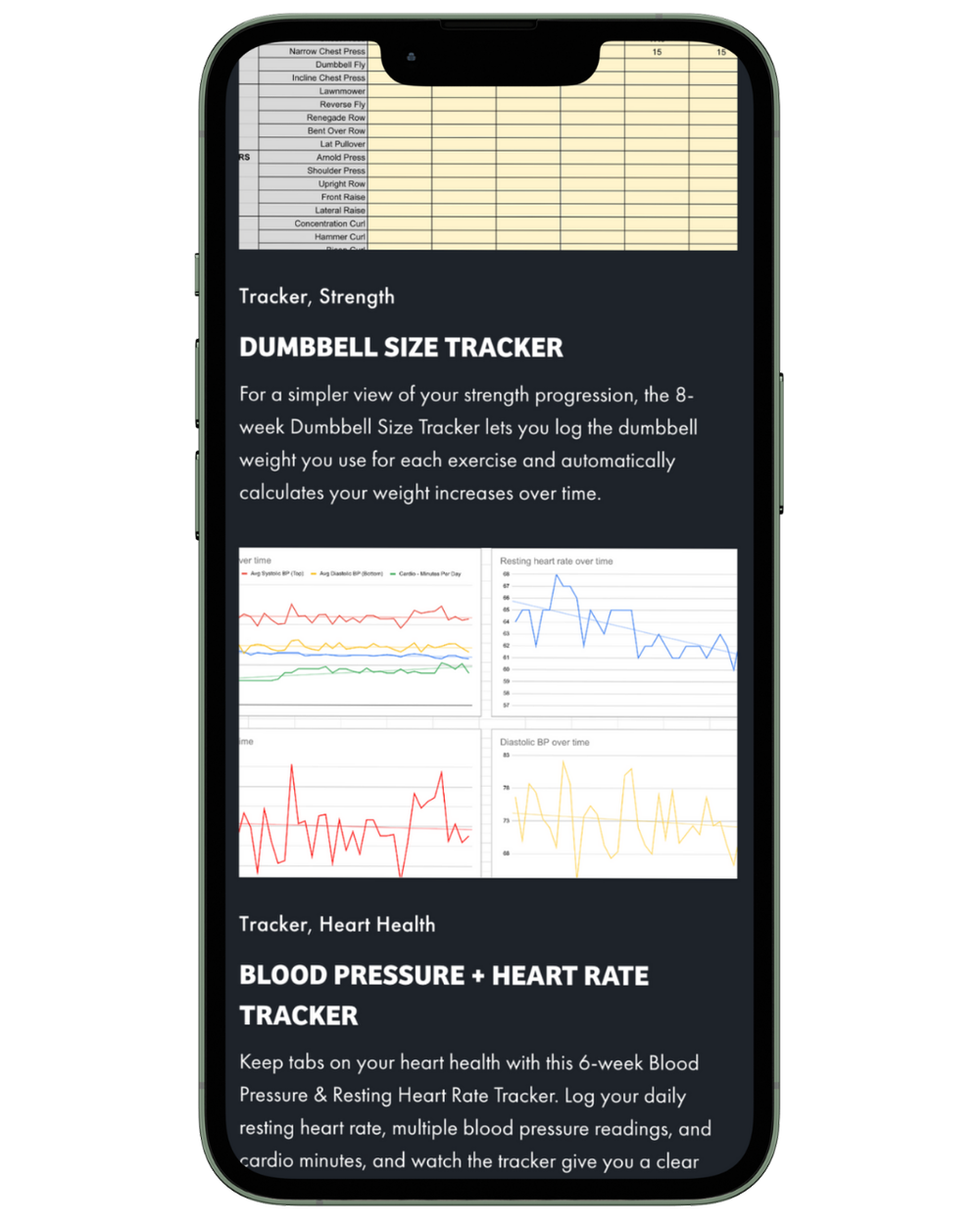 The Dumbbell Size Tracker and Blood Pressure Tracker spreadsheets