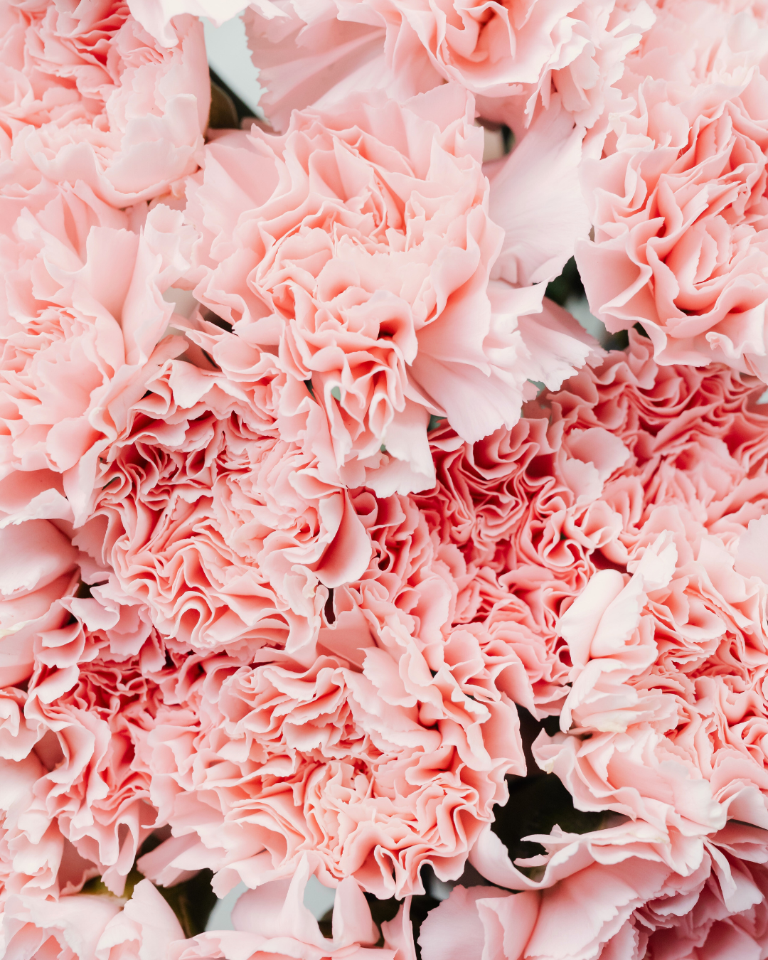 Galentines Day Flowers