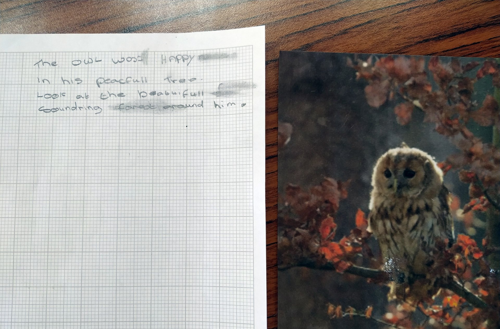 session-1-(1).jpg